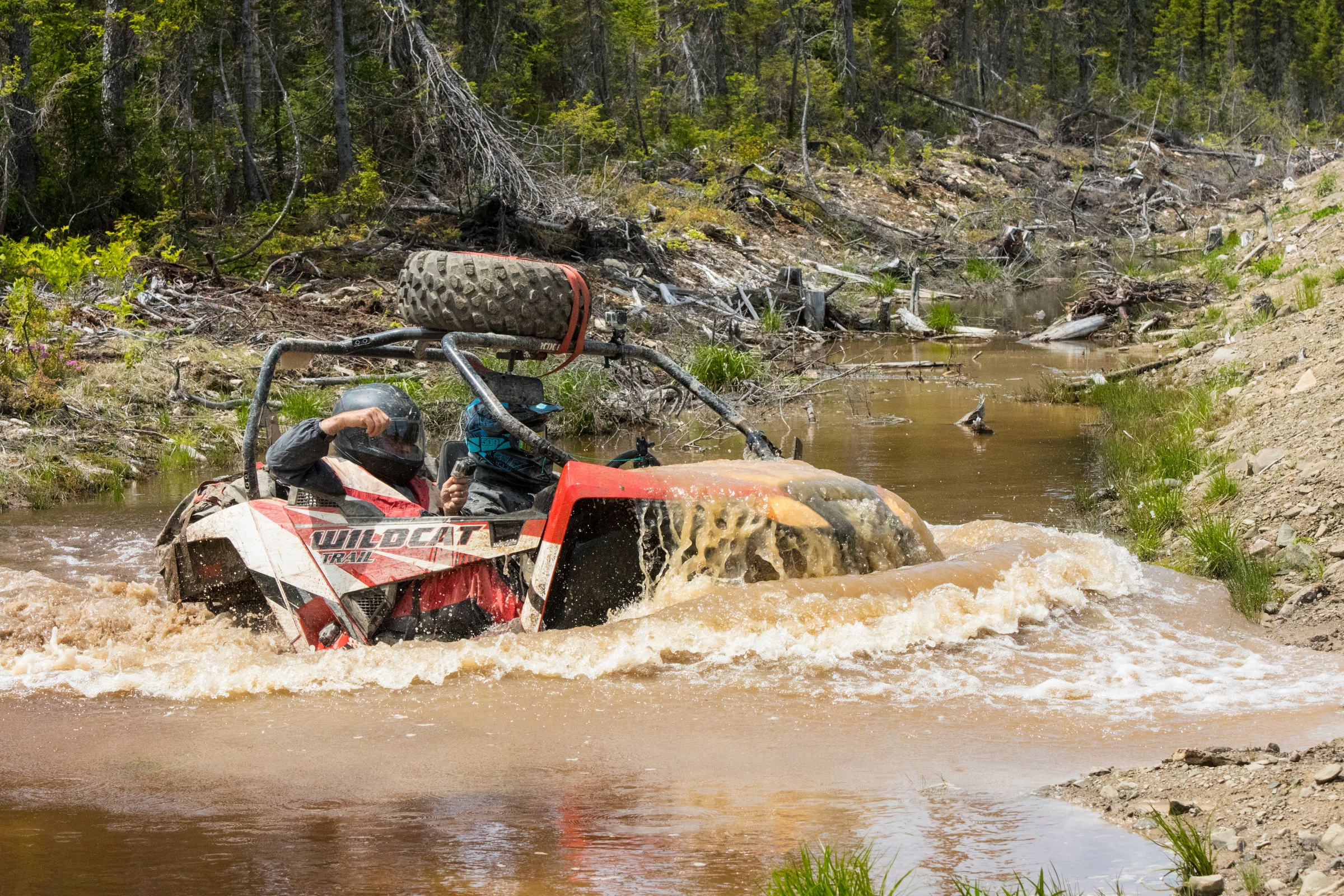 InfoQuad.com en Gaspésie