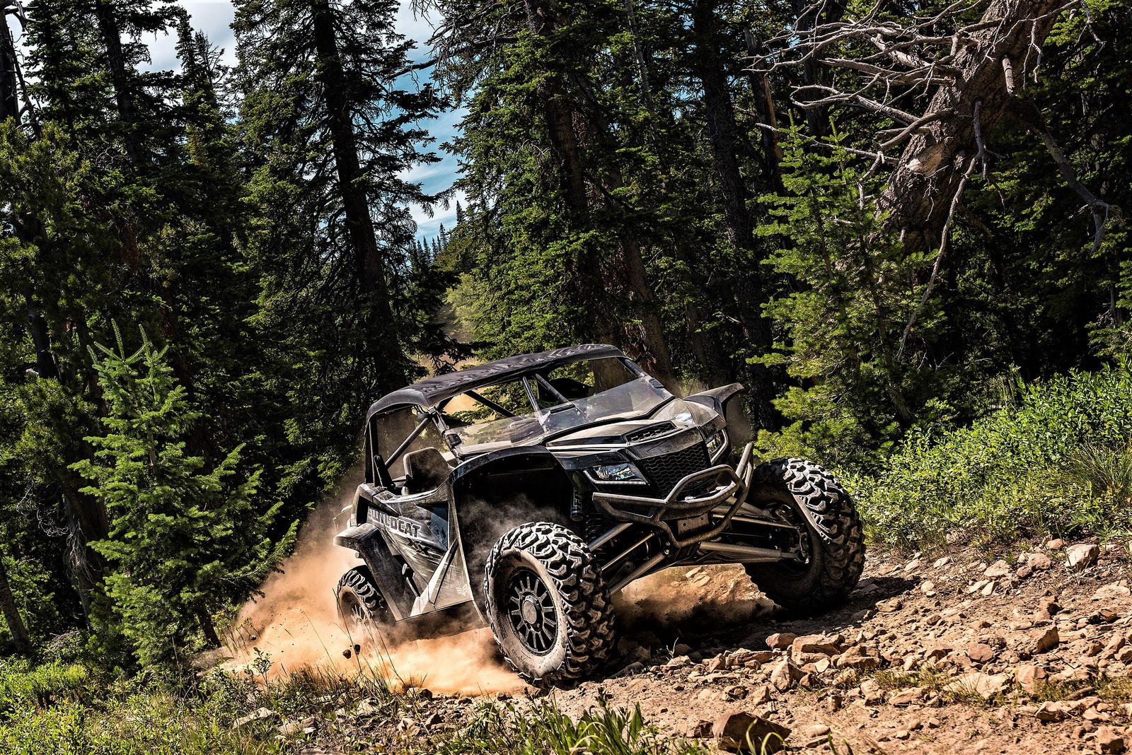 Textron Havoc & Wildcat XX 2019