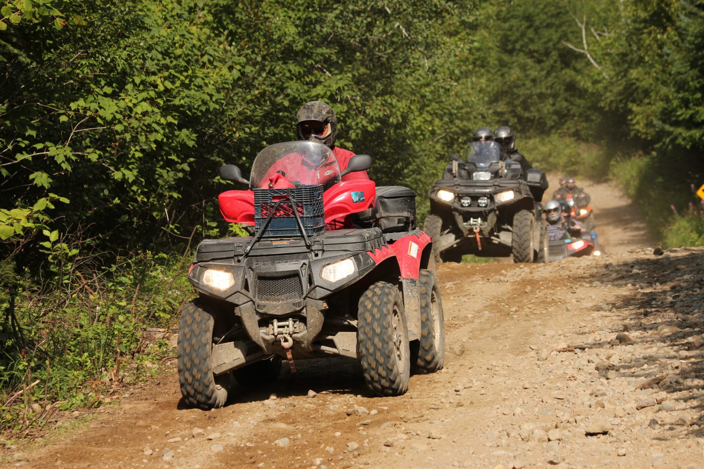 L&rsquo;importance des réserves fauniques en quad