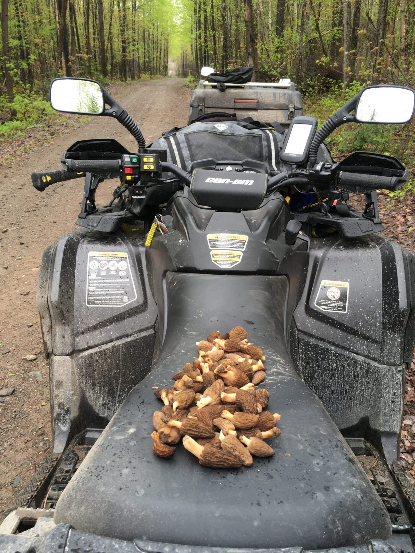 Goûter les plaisirs du Quad: la mycologie en sentier