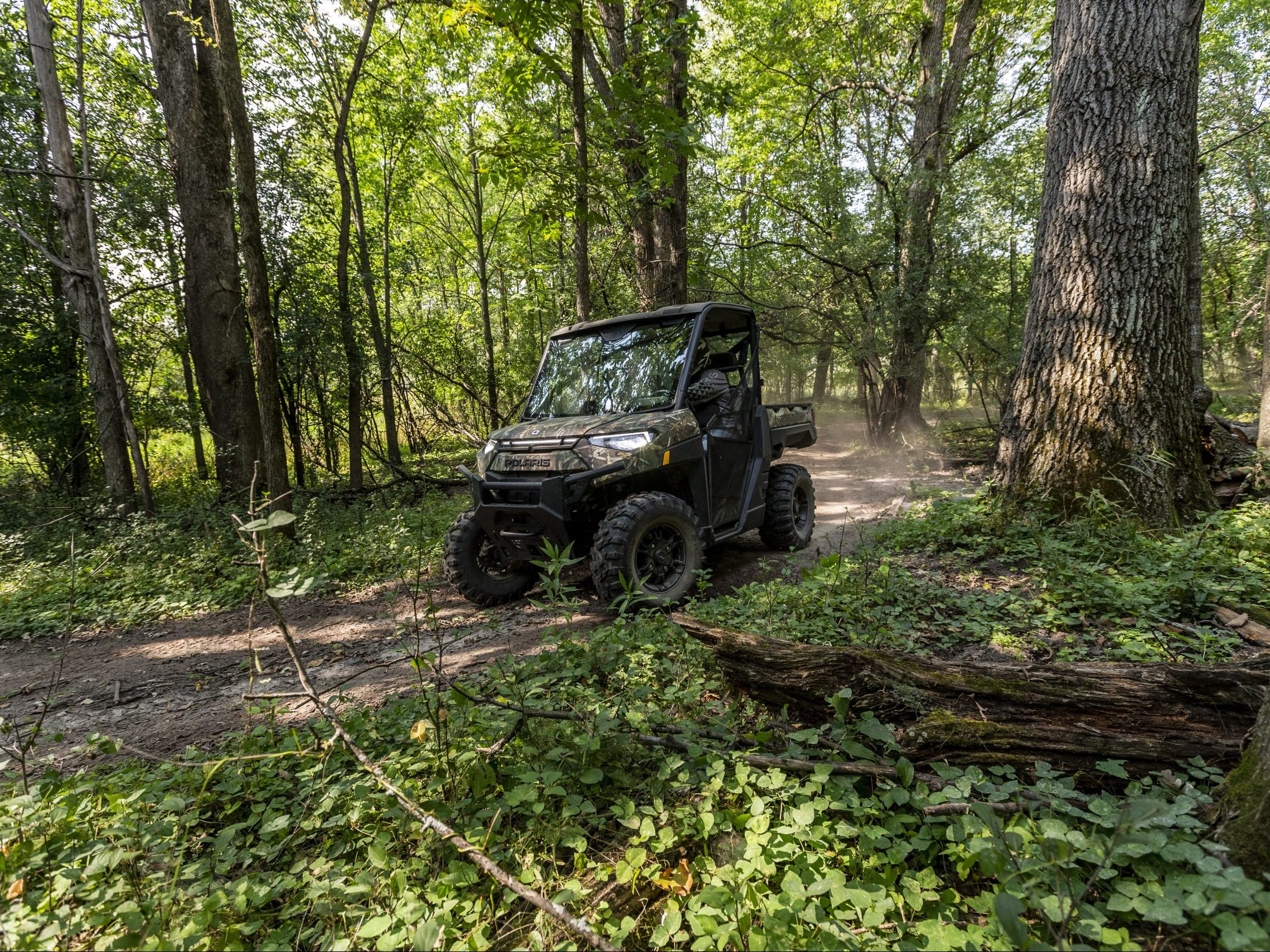 Quads électriques, hybrides ou à essence – quel est l’avenir ?